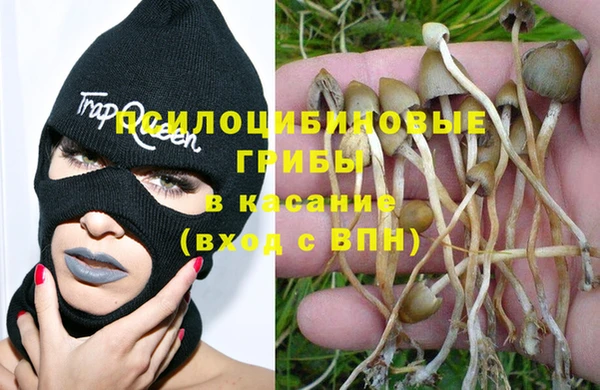 мдма Михайловка