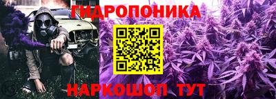 ПСИЛОЦИБИНОВЫЕ ГРИБЫ Кандалакша