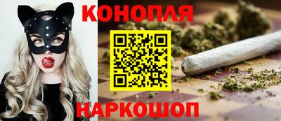 мяу мяу мука Абакан