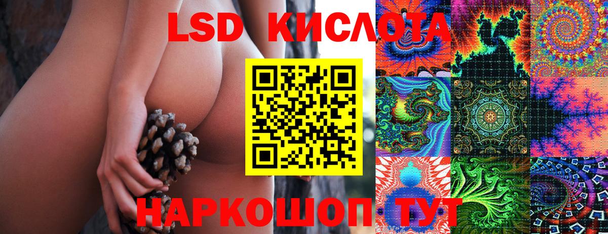 Новороссийск  Наркотические марки 1500мкг  хочу наркоту  Вход с VPN 