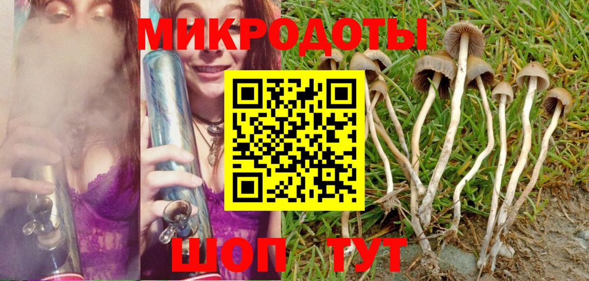 Галлюциногенные грибы мухоморы  Вход с VPN  Новороссийск  Псилоцибиновые грибы ЛСД 